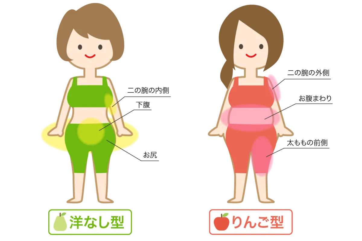 女性の脂肪のつき方は年齢でこんなに変わる