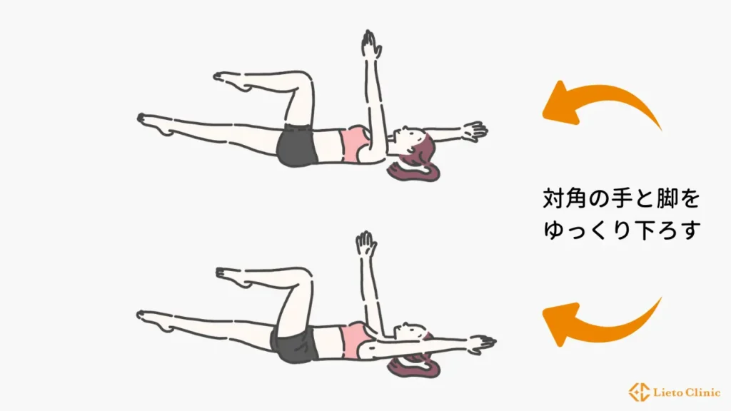 デッドバグ(浮き輪肉に効く筋トレ)